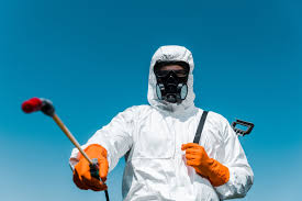 Outdoor Pest Control in Toledo, OR